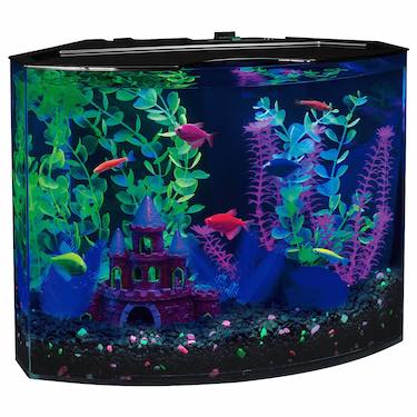 Aquarium Kit with Blue LED light
