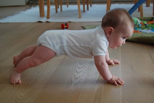 baby doing pushups